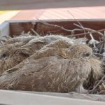 phoca_thumb_m_006 2 Fotogalerie